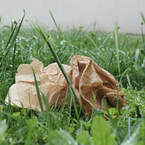 Emballages biodégradables, compostables, biosourcés - Comment s’y retrouver ? - Comme Avant