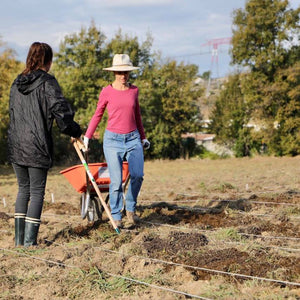 Le début du potager d'entreprise - Comme Avant