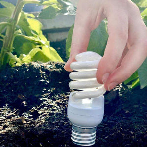 L'électricité verte avec Plüm - Comme Avant