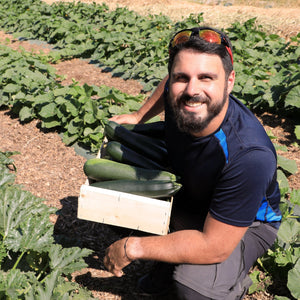 Nos premiers paniers de légumes bio - Comme Avant