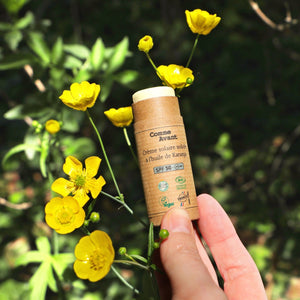 Crème solaire solide à l'huile de karanja SPF50 avec un seul filtre solaire et sans dioxyde de titane