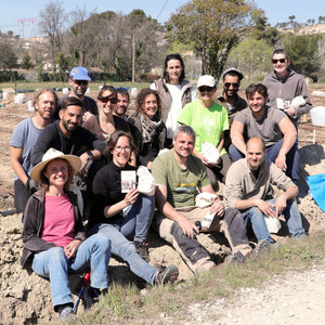 Un chantier-école permaculture - Comme Avant
