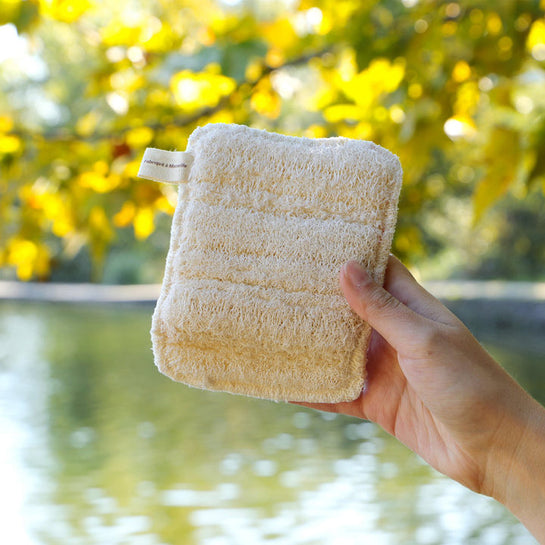 éponge en loofah comme avant 